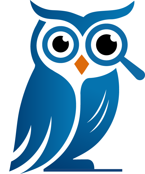 NaviOwl logo